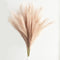 UiiziC Faux Pampas Grass Dried Fluffy Artificial 6pcs 35" Ascendant Grass for Vase Fillers Wedding Party Bouquets Home Hotel Centerpieces Decor (B...