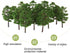BESPORTBLE Artificial Trees Modle: 20pcs Architectural Micro 9CM Imitation Landscape Tree Model Scenery...