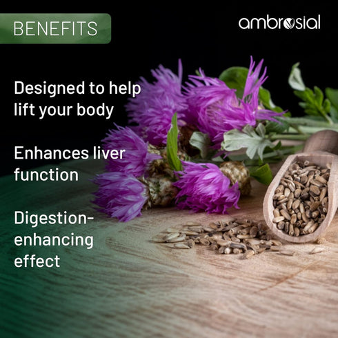 AMBROSIAL Milk Thistle Liver Detox with Dandelion Root & Other Natural Herbs | High Strength Herbal Antioxidant | Liver Cleanse & Detox Supplement...