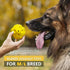 Squeaky Dog Toys for Aggressive Chewers: Rubber Puppy Chew Ball with Squeaker, almost Indestructible and Durable Pet Toy for Medium and Large Bree...