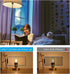 E12 LED Light Bulbs 25-Watt Equivalent (Dimmable), Warm White 2700K, 2W Vintage Clear G15/G50 Globe LED Bulb for Beside Lamp Ceiling Fan Pendant L...