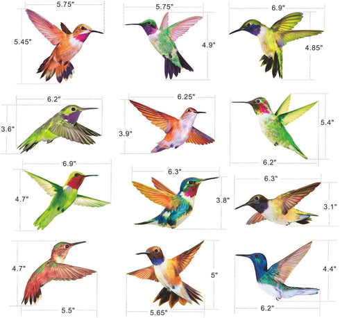 Anti-Collision Window Clings Bird Alert Collision Decals to Prevent Bird Strikes on Window Glass - Set of 12 Hummingbirds...