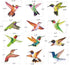Anti-Collision Window Clings Bird Alert Collision Decals to Prevent Bird Strikes on Window Glass - Set of 12 Hummingbirds...