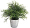 Bathroom Vanity Decor Ideas Indoor Artificial Grass Plants for Shelf Nandina (Sea Pink S)...