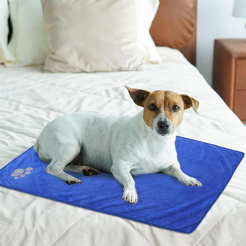 Dog Towels for Drying Dogs Two Pack Dog Bath Towel pet Towel Absorbent Microfiber Durable Prevent mud Dirty for Dogs Cats Small Animal Bathing Gro...