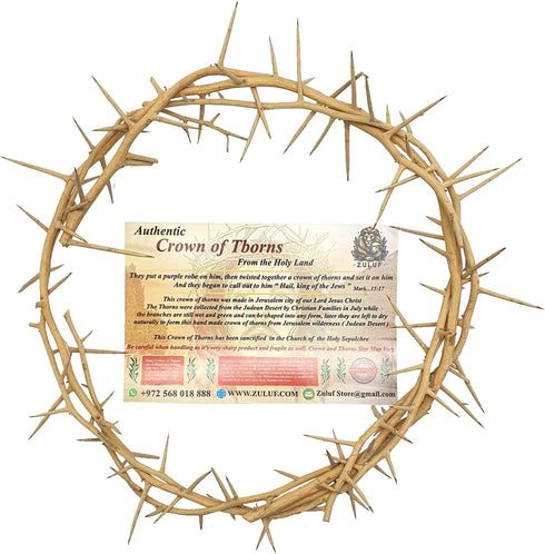ZULUF 7.5" Crown of Thorns from Bethlehem Jerusalem – Authentic Holy Land Passion of Christ Gift Boxed Ornament HLG027...