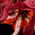 ZHONGXIN MADE Simulation Octopus Plush Toy -Red Soft Real Life Octopus Stuffed Animal Toys, Lifelike Deep Sea Creeping Animal Octopuses Plush Toys...