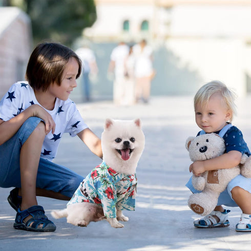 4 Pieces Pet Summer Shirts Hawaiian Style Dog T-Shirts Floral Coconut Tree Printed Puppy Shirt Summer Beach Dog Apparel Cat Outfit Shirt Breathabl...