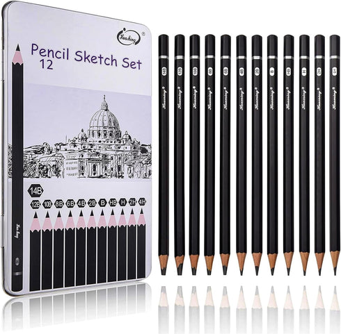 Sketch Pencils for Drawing,12 Pack Drawing Pencils, Graphite Pencils, Graphite Pencils for Drawing, Art Pencils for Drawing and Shading, Shading P...