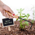 Bonsai Root Hook, 22cm Manganese Steel Single Claw Gardening Hook Root Pick Rake Bonsai Tool Handle Weeder with Comfortable Wooden Handle for Outd...