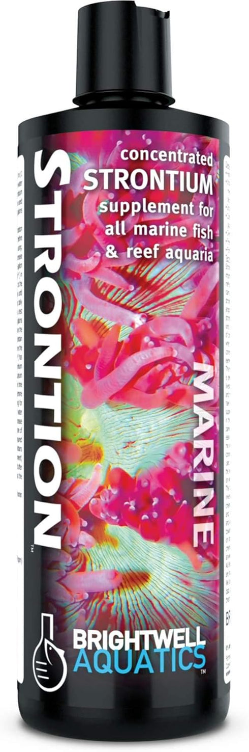 Brightwell Aquatics Strontion - Concentrated Strontium Supplement for All Marine Aquariums, 250ML...