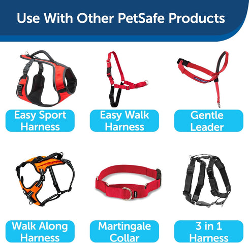 PetSafe Nylon Dog Leash – Strong, Durable, Traditional Style Leash with Easy to Use Bolt Snap for Small, Medium and Large Dogs – 3/8" x 6', Red...