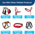 PetSafe Nylon Dog Leash – Strong, Durable, Traditional Style Leash with Easy to Use Bolt Snap for Small, Medium and Large Dogs – 3/8" x 6', Red...