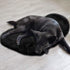 Mudder 2 Pieces Heart Shaped Rug Faux Room Fluffy Carpet Heart Shaped Door Mat for Room Bedroom, 12 x 16 Inch(Black)...