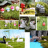 50 PCS Fairy Miniature Ornament DIY Kit and 4 PCS Artificial Succulent Plants for Garden Dollhouse Decoration...