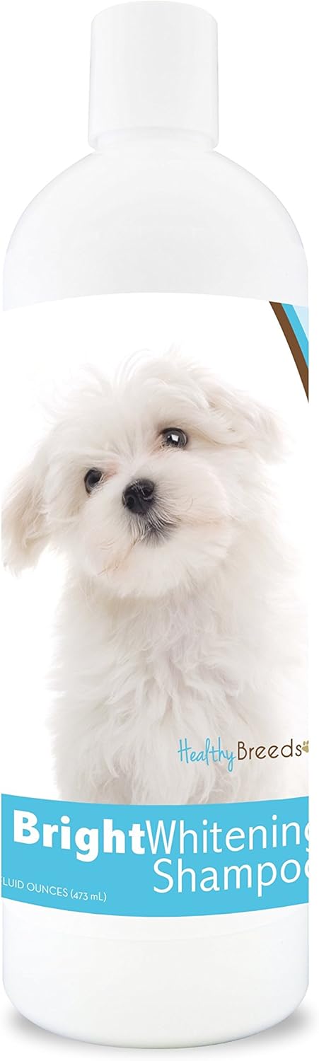 Healthy Breeds Maltese Bright Whitening Shampoo 12 oz, Pina Colada...
