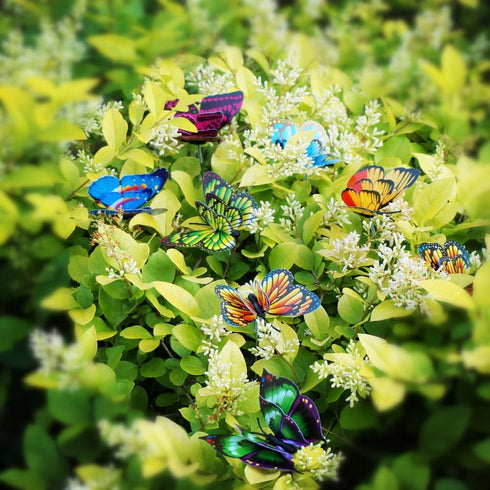 Butterfly Stakes 50pcs Decorative Garden Waterproof Small Butterfly Decor Garden for Plants Flower Beds Plant Pots...