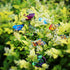 Butterfly Stakes 50pcs Decorative Garden Waterproof Small Butterfly Decor Garden for Plants Flower Beds Plant Pots...