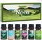 SALKING Nature Fragrance Oils, Premium Essential Oil for Diffuser, Scented Oil Gift Set for Soap Candle Making - Pine, Ocean Breeze, Rain, Fresh C...