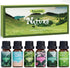 SALKING Nature Fragrance Oils, Premium Essential Oil for Diffuser, Scented Oil Gift Set for Soap Candle Making - Pine, Ocean Breeze, Rain, Fresh C...