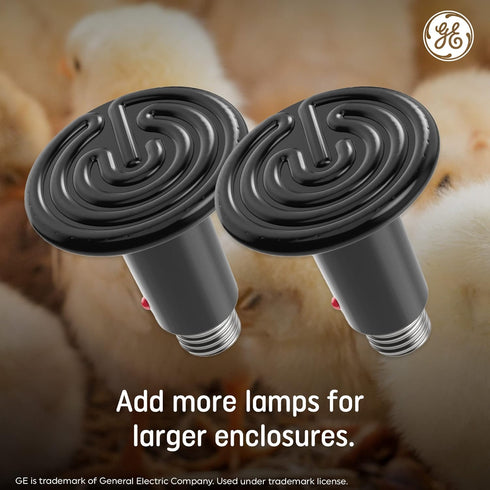 GE Ceramic Heat Lamp, Animal Heat Emitter Bulb, Chicks Heat Lamp (2 Pack)...
