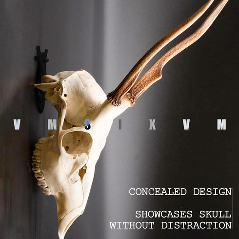 European Mount Skull Hanger, VMSIXVM Deer Skull Wall Mount Hanger for Hanging Deer Head, Pronghorn and Other Smaller Skulls, Deer Skull Hangers Eu...