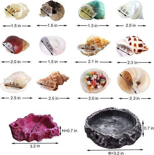 13 Pack Hermit Crab Shells with 2 Pack Food Water Bowl Growth Turbo Seashell Supplies Accessory...