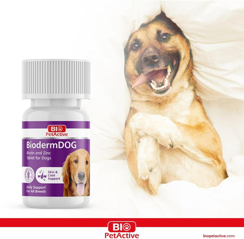 Bio Pet Active BiodermDOG 0.5 Zinc and Biotin Tablets for Dogs, Immune System, Skin, Coat and Nail Support for Dogs, 1.32 oz, 75 Chewable Tablets...