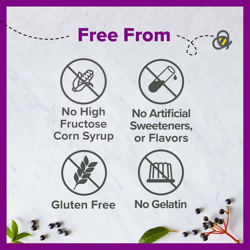 Zarbee's Elderberry Gummy Daily Immune Support Supplement with Vitamins A, C, D, E & Zinc, Black Elderberry Fruit Extract, Natural Berry Flavor, 6...