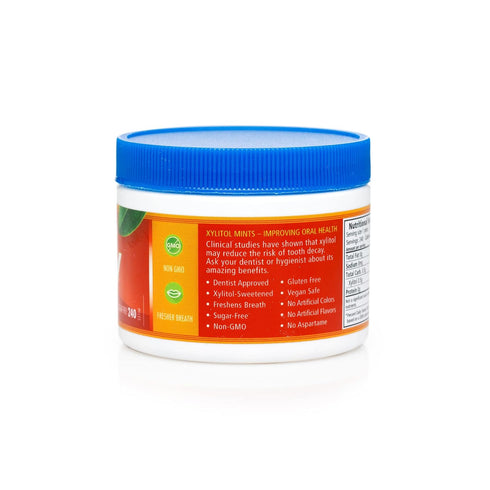 Spry Xylitol Cinnamon Mints Sugar Free Candy - Promote Oral Health, Increase Saliva Production, Stop Bad Breath, Non-GMO, Gluten-Free, 240 Count (...