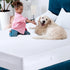 Utopia Bedding Zippered Mattress Encasement Twin XL, 100% Waterproof Bed Bug and Dust Mite Proof Mattress Protector, Absorbent Six-Sided Mattress ...