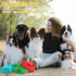 Dog Toys, Squeaky Indestructible Dog Chew Toys for Aggressive Chewers, Tough Alligator Rubber Teething Chew Dog Toys for Large Medium Small Dog...