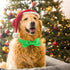 Segarty Bow Tie Dog Collar, Adjustable Green Bowtie Collar for Large Dogs, Durable Dog Neck Tie Tuxedo Comfortable Cotton Pets Bows Grooming Acces...