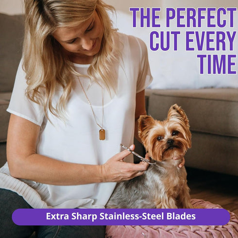 Grooming Scissors, Stainless Steel Dog Shears with Safety Rounded Tip, Dog Grooming Kit, Set of Two Dog Scissors in a Leather Cover, Professional ...