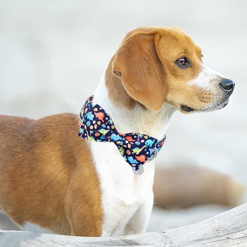 DOGWONG Dinosaur Dog Collar with Bowtie - Blue Dog Bow Collar Boy Dog Collars with Bow Adjustable Dinosaur Bowtie Collar for Small Medium Large Do...