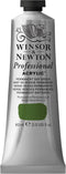 Winsor & Newton Professional Acrylic Paint, 60ml (2-oz) Tube, Permanent Sap Green...