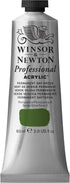 Winsor & Newton Professional Acrylic Paint, 60ml (2-oz) Tube, Permanent Sap Green...