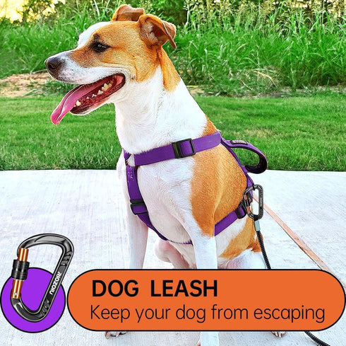 Heavy Duty Lightweight Locking Carabiner Clips 12KN D Ring for Camping Hiking Outdoor Gym etc, Carabiner with Lock Small Carabiners for Dog Leash ...