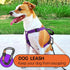 Heavy Duty Lightweight Locking Carabiner Clips 12KN D Ring for Camping Hiking Outdoor Gym etc, Carabiner with Lock Small Carabiners for Dog Leash ...