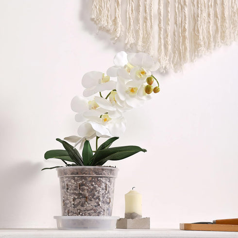 TRUEDAYS 4 Pack Orchid Pot with Saucers, 6 Inch Clear Orchid Pots with Holes, Plastic Planter with Trays, Breathable Slotted Orchids Planters for ...