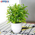 OFFIDIX Mini Plastic Artificial Eucalyptus Leaves Topiary Plant with Pots,Faux Plant Small Plants for Home,Office and Bathroom Decoration...