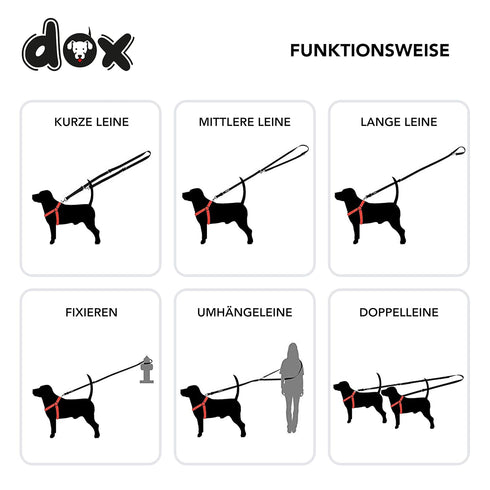DDOXX Nylon Dog Leash - 6.6 ft, 3-way Adjustable Leash Dogs - S (Blue)...