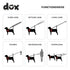 DDOXX Nylon Dog Leash - 6.6 ft, 3-way Adjustable Leash Dogs - S (Blue)...
