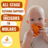 CaaOcho Pure Natural Rubber Teething Gum Massager Baby Toy & Bath Toy - Squid Teether for Babies, Sealed Hole, BPA Free Baby Toy, Hole Free Molar ...