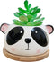Succulent Pots,Cute Animal Panda Shaped Cartoon Ceramic Succulent Cactus Flower Planters with Bamboo Tray -Plant Not Included (4.13 Inch)...