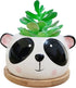 Succulent Pots,Cute Animal Panda Shaped Cartoon Ceramic Succulent Cactus Flower Planters with Bamboo Tray -Plant Not Included (4.13 Inch)...