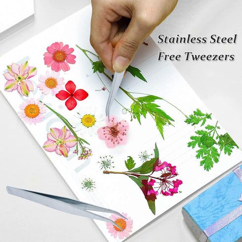 Dried Pressed Flowers for Resin, 60PCS Pink Real Pressed Dried Little Plum Blossom Flower with Forceps for Scrapbooking DIY Candle Decor Jewelry S...