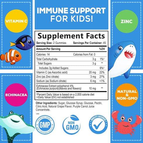 Kids Immune Support Gummies with Vitamin C, Zinc & Echinacea, Gluten Free & Non-GMO Chewable Immune Support for Kids Gummy, Daily Childrens Immune...