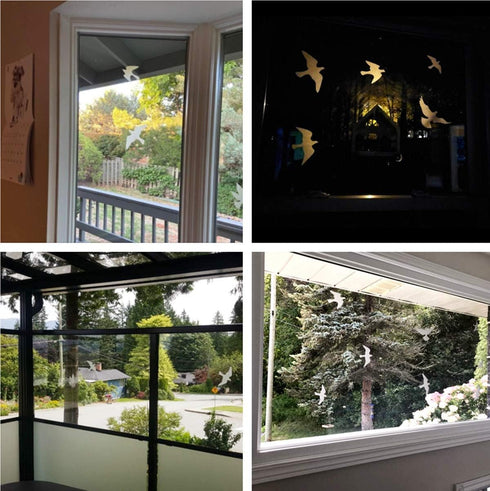 Anti-Collision Window Bird Stickers Decals Glass Door Protect and Save Bird Strikes (Transparent-36 Pcs)...