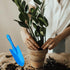 4 PCS Gardening Trowels,Mini Colorful Trowel Metal Garden Hand Shovels,Garden Tools for Kids Teens Adults Flower Soil Planting Digging Transplanti...